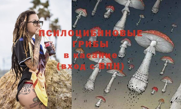 СК Аркадак