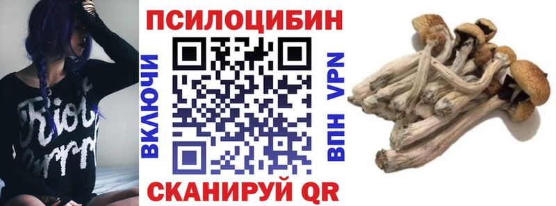Галлюциногенные грибы MAGIC MUSHROOMS  Судогда 