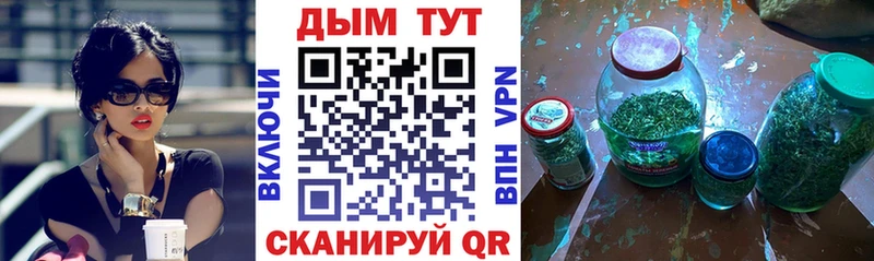 Бошки марихуана OG Kush  Судогда 